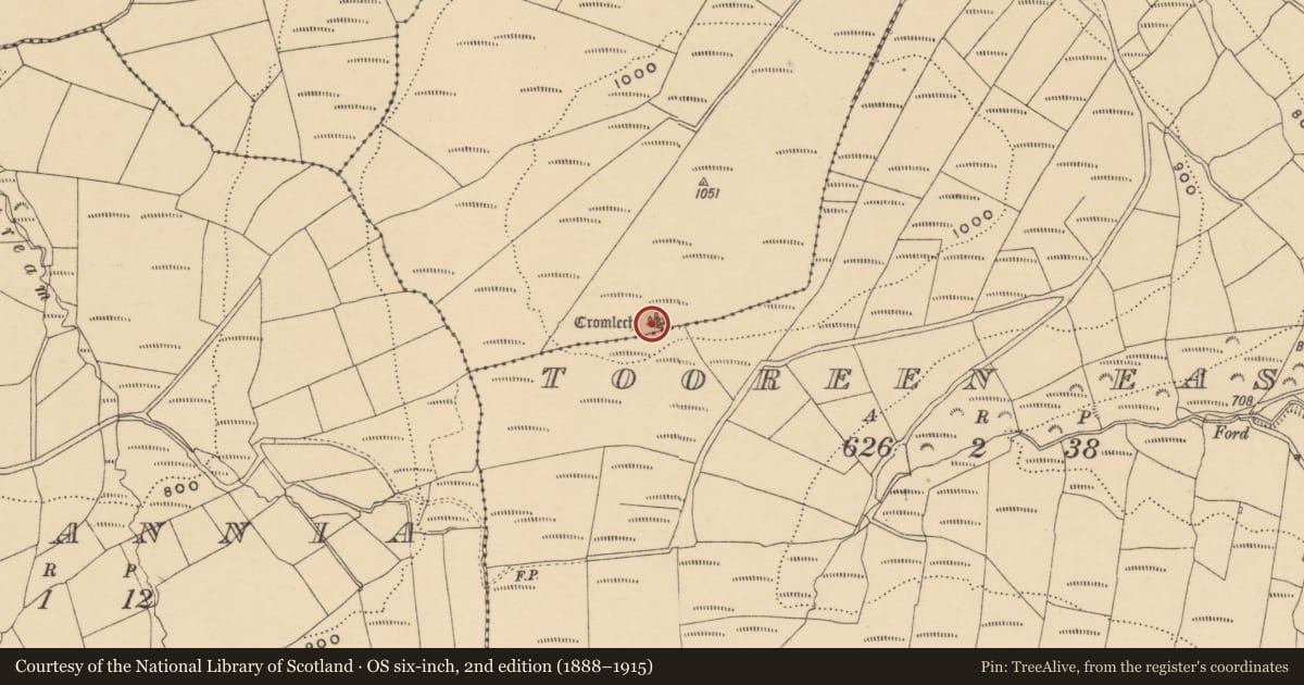 Ordnance Survey six-inch map, 2nd edition (1888–1915) covering the location of Stone row, Tooreen West, County Waterford, with a pin at the register's coordinates