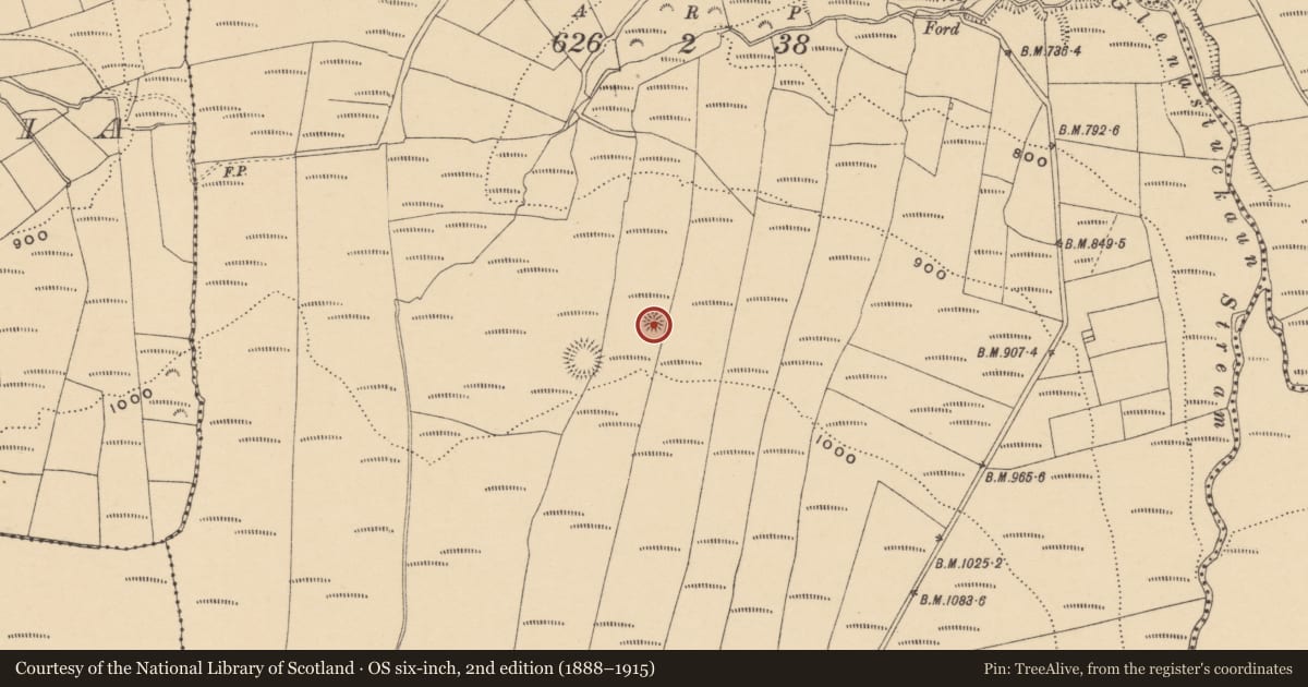Ordnance Survey six-inch map, 2nd edition (1888–1915) covering the location of Barrow - ring-barrow, Tooreen East, County Waterford, with a pin at the register's coordinates