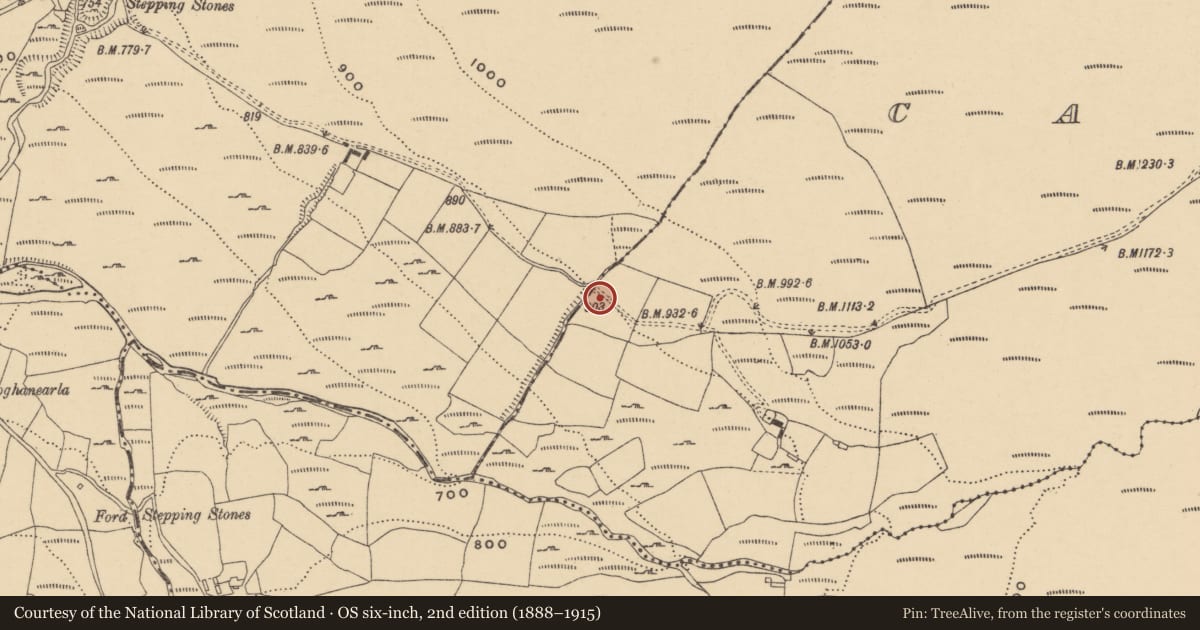 Ordnance Survey six-inch map, 2nd edition (1888–1915) covering the location of Fulacht fia, Carrigeen, County Waterford, with a pin at the register's coordinates