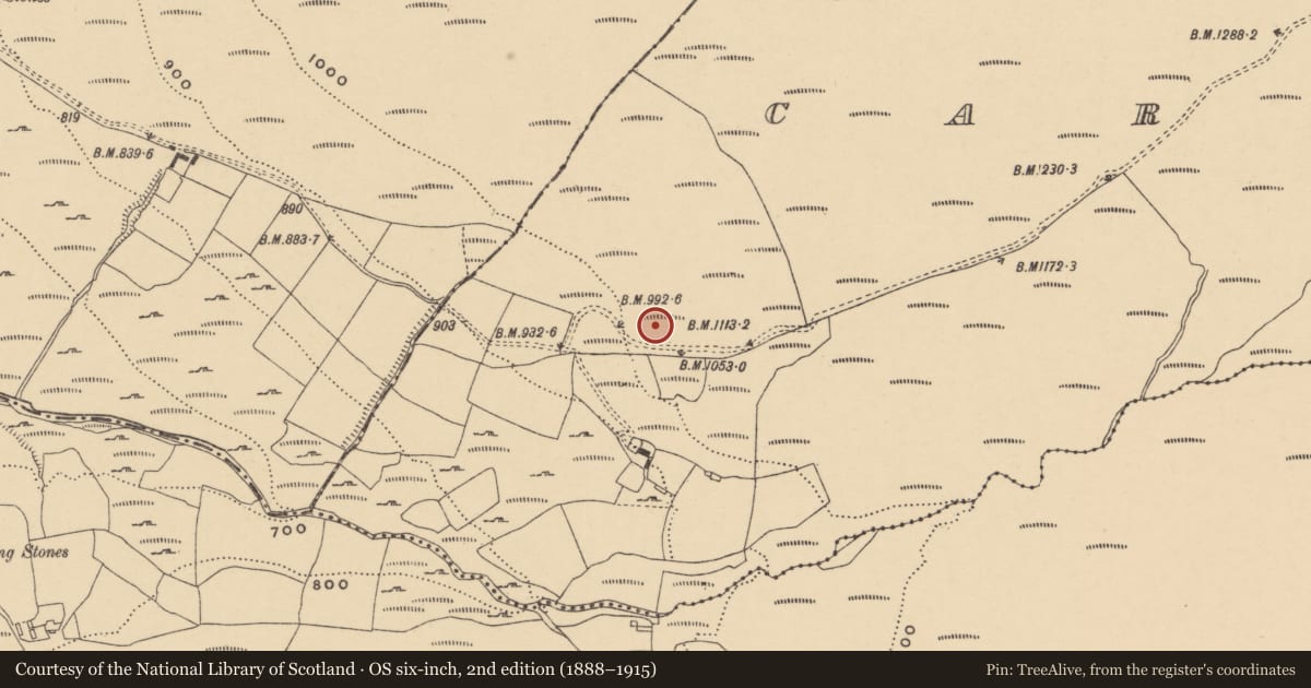 Ordnance Survey six-inch map, 2nd edition (1888–1915) covering the location of Standing stone, Carrigeen, County Waterford, with a pin at the register's coordinates
