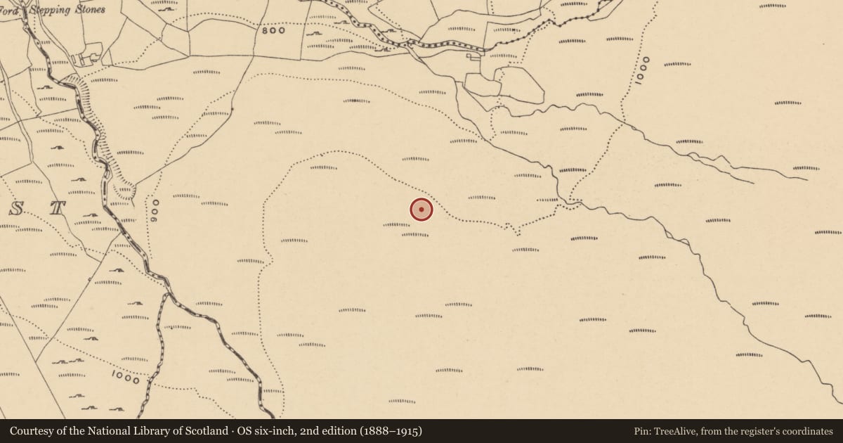 Ordnance Survey six-inch map, 2nd edition (1888–1915) covering the location of Hut site, Curraghduff (Upperthird By., Rathgormuck Par.), County Waterford, with a pin at the register's coordinates