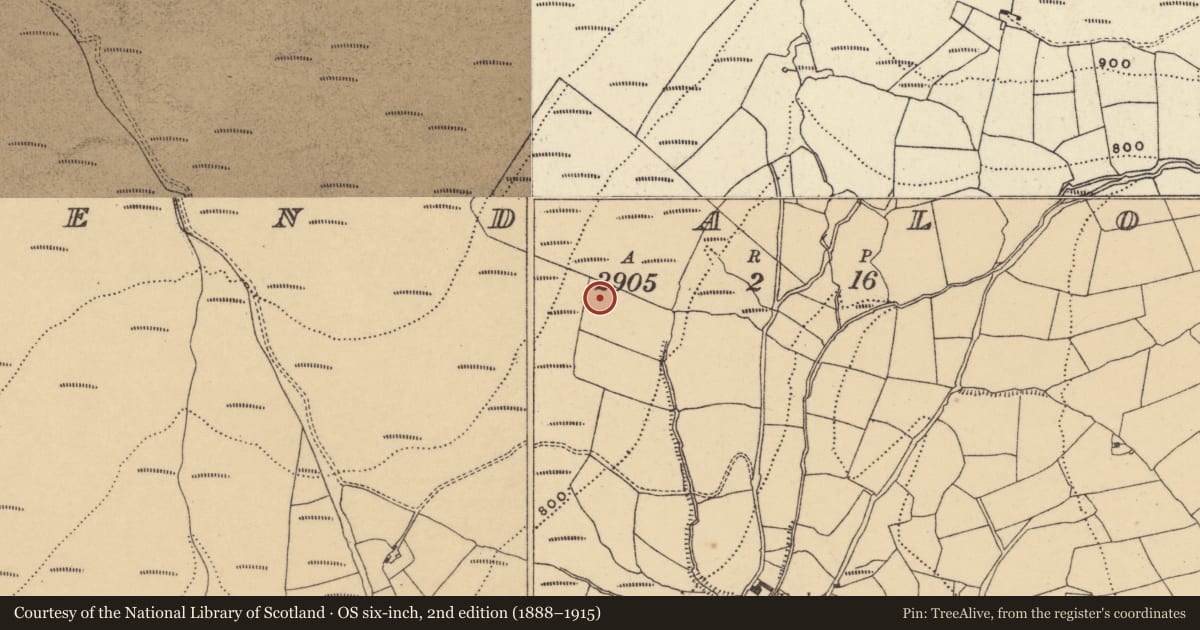 Ordnance Survey six-inch map, 2nd edition (1888–1915) covering the location of Standing stone, Glendalough, County Waterford, with a pin at the register's coordinates