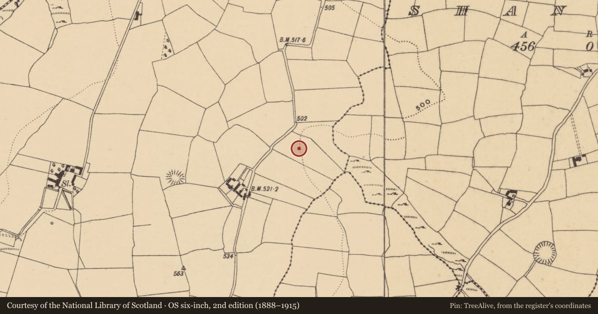 Ordnance Survey six-inch map, 2nd edition (1888–1915) covering the location of Standing stone, Graigavalla, County Waterford, with a pin at the register's coordinates
