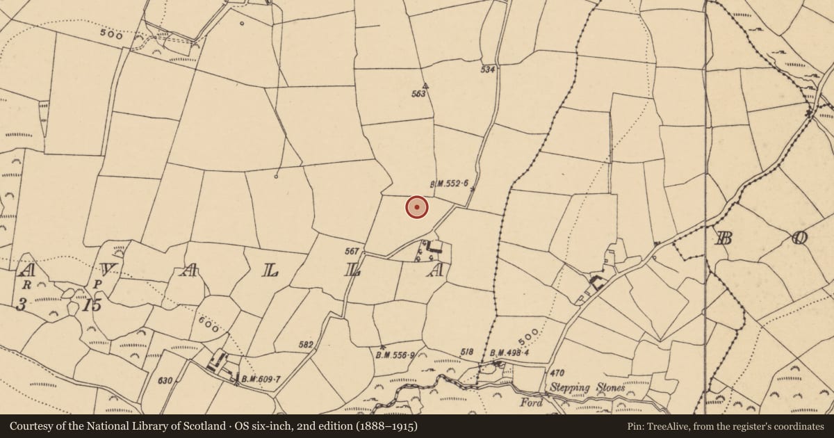 Ordnance Survey six-inch map, 2nd edition (1888–1915) covering the location of Standing stone, Graigavalla, County Waterford, with a pin at the register's coordinates