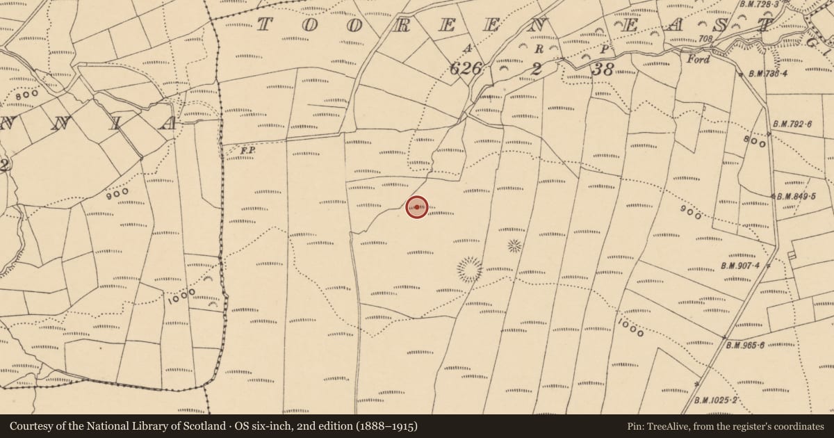 Ordnance Survey six-inch map, 2nd edition (1888–1915) covering the location of Fulacht fia, Tooreen East, County Waterford, with a pin at the register's coordinates