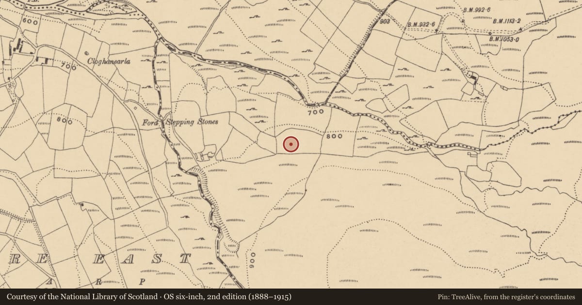 Ordnance Survey six-inch map, 2nd edition (1888–1915) covering the location of Standing stone, Curraghduff (Upperthird By., Rathgormuck Par.), County Waterford, with a pin at the register's coordinates
