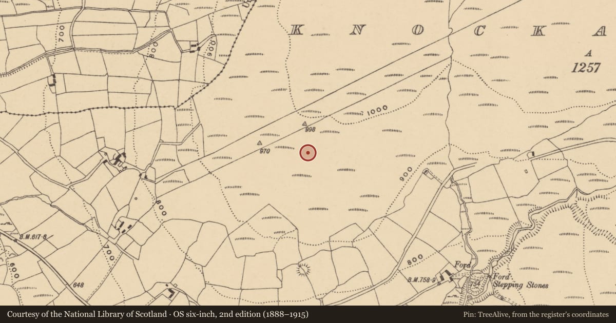 Ordnance Survey six-inch map, 2nd edition (1888–1915) covering the location of Stone row, Knockanaffrin, County Waterford, with a pin at the register's coordinates
