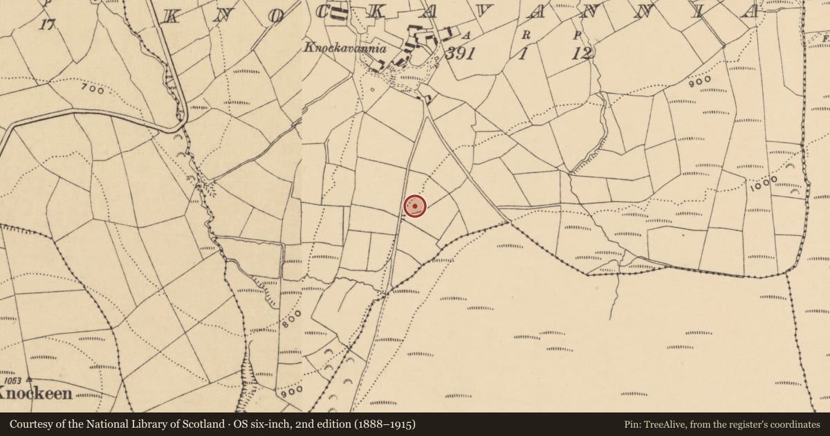 Ordnance Survey six-inch map, 2nd edition (1888–1915) covering the location of Fulacht fia, Knockavannia, County Waterford, with a pin at the register's coordinates