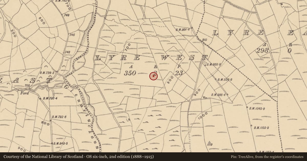 Ordnance Survey six-inch map, 2nd edition (1888–1915) covering the location of Fulacht fia, Lyre West, County Waterford, with a pin at the register's coordinates