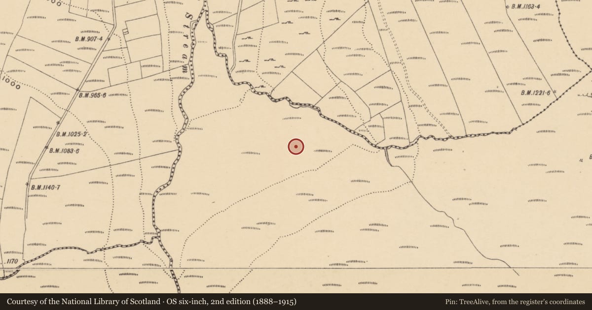 Ordnance Survey six-inch map, 2nd edition (1888–1915) covering the location of Fulacht fia, Lyremountain, County Waterford, with a pin at the register's coordinates