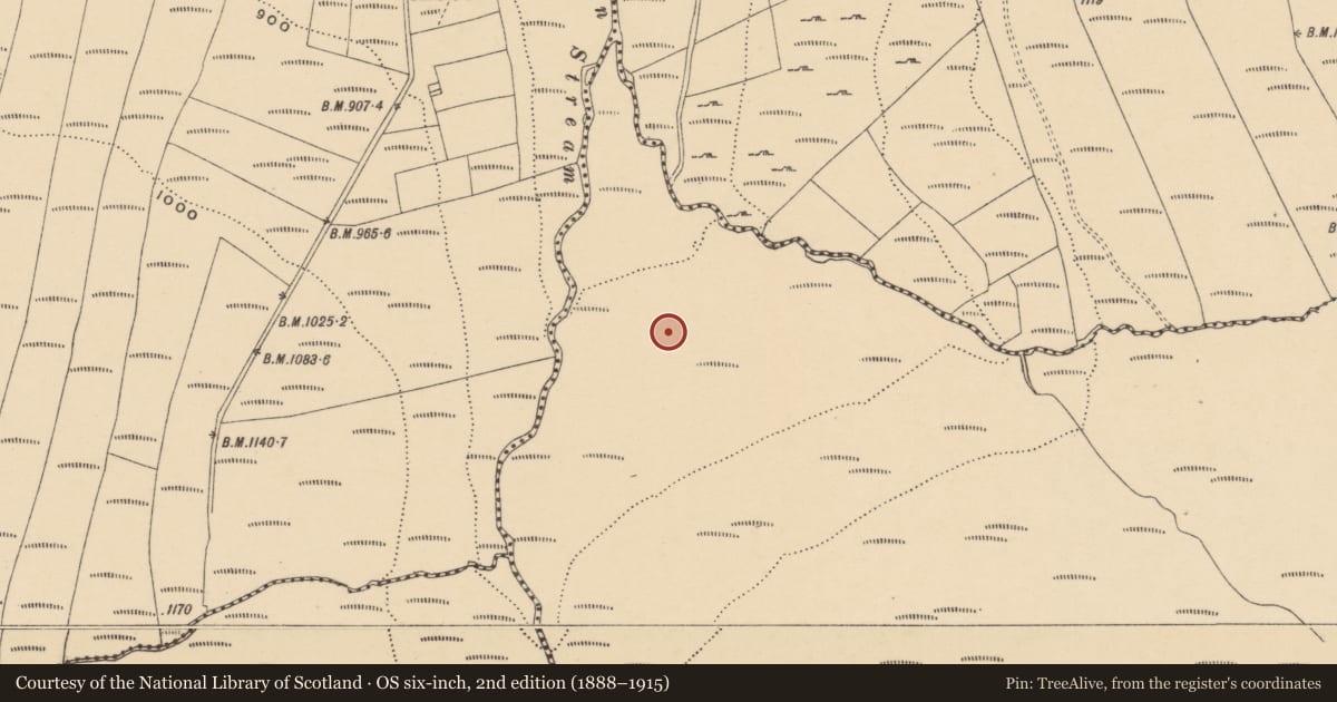 Ordnance Survey six-inch map, 2nd edition (1888–1915) covering the location of Standing stone, Lyremountain, County Waterford, with a pin at the register's coordinates