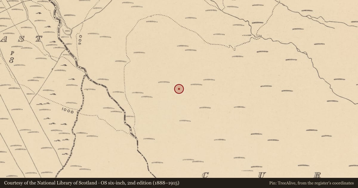 Ordnance Survey six-inch map, 2nd edition (1888–1915) covering the location of Hut site, Curraghduff (Upperthird By., Rathgormuck Par.), County Waterford, with a pin at the register's coordinates