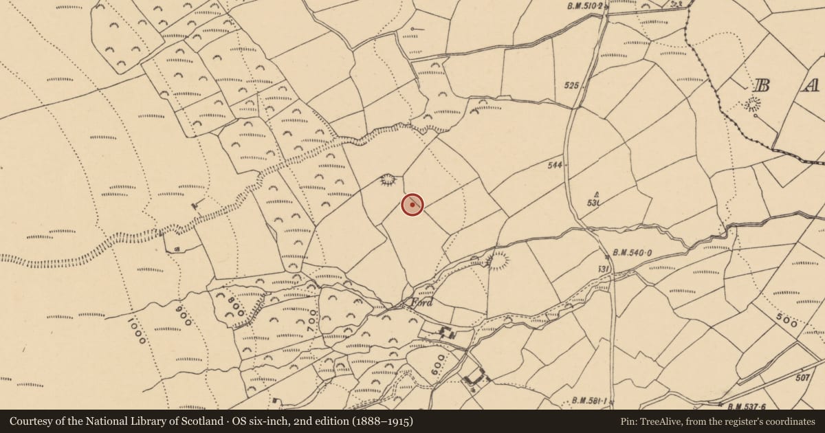 Ordnance Survey six-inch map, 2nd edition (1888–1915) covering the location of Standing stone, Curraheen, County Waterford, with a pin at the register's coordinates