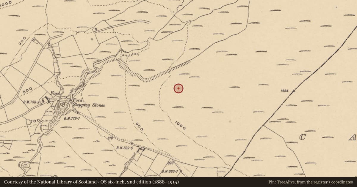 Ordnance Survey six-inch map, 2nd edition (1888–1915) covering the location of Standing stone, Knockanaffrin, County Waterford, with a pin at the register's coordinates