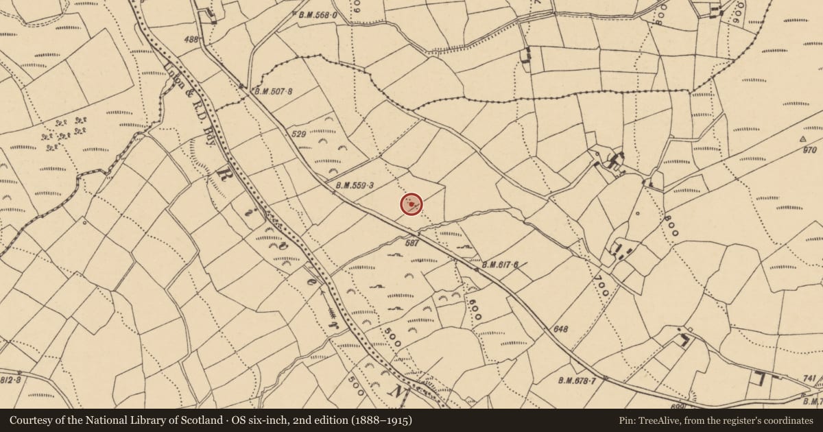Ordnance Survey six-inch map, 2nd edition (1888–1915) covering the location of Fulacht fia, Knockanaffrin, County Waterford, with a pin at the register's coordinates