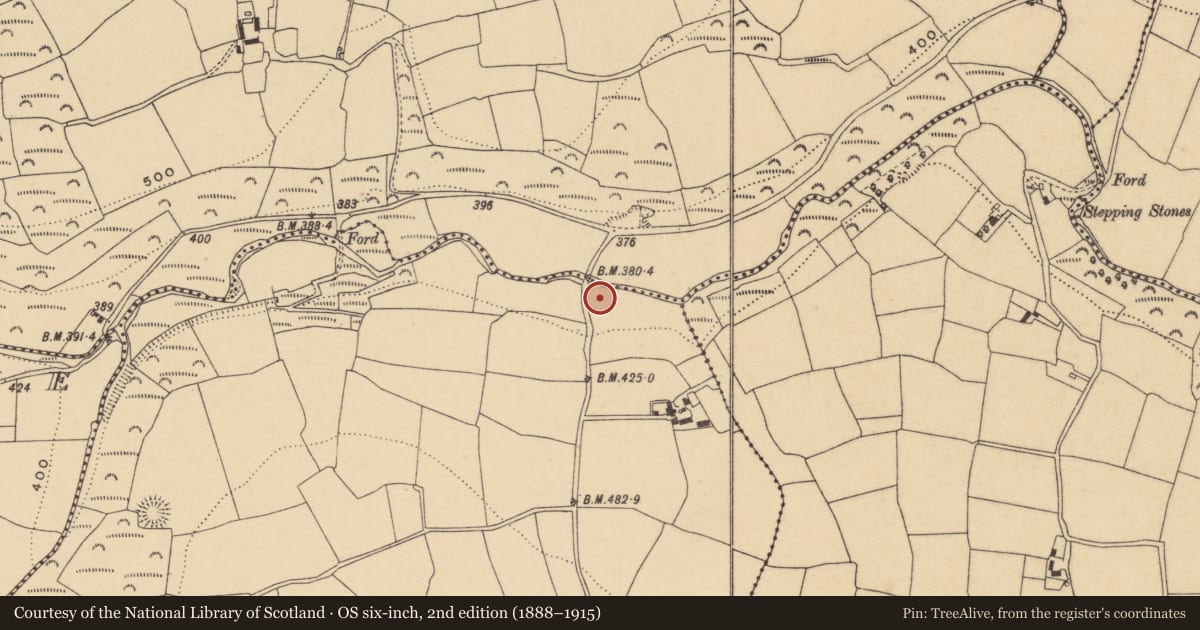 Ordnance Survey six-inch map, 2nd edition (1888–1915) covering the location of Standing stone, Graigavalla, County Waterford, with a pin at the register's coordinates