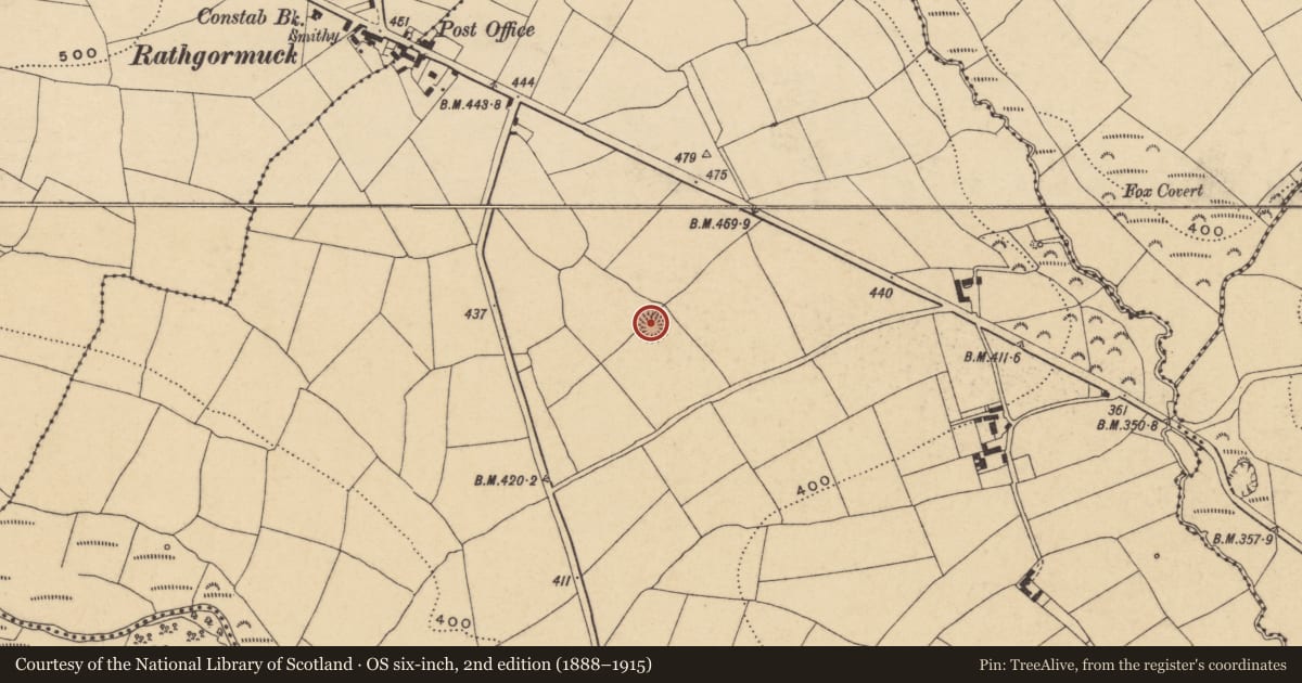Ordnance Survey six-inch map, 2nd edition (1888–1915) covering the location of Ringfort - rath, Ballythomas, County Waterford, with a pin at the register's coordinates