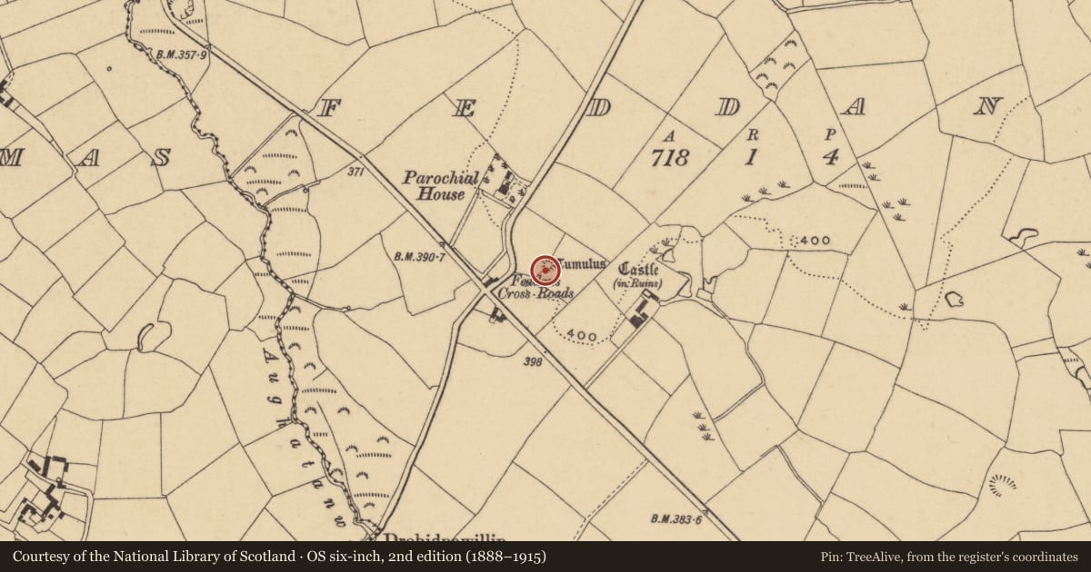 Ordnance Survey six-inch map, 2nd edition (1888–1915) covering the location of Castle - motte and bailey, Feddans, County Waterford, with a pin at the register's coordinates