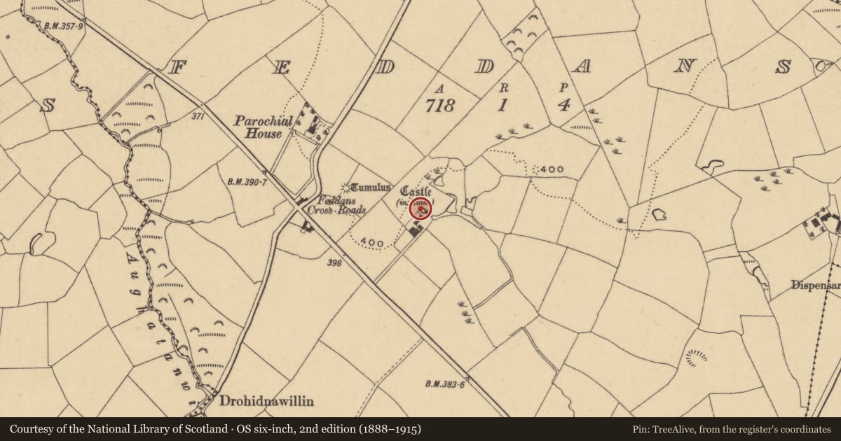 Ordnance Survey six-inch map, 2nd edition (1888–1915) covering the location of Castle - tower house, Feddans, County Waterford, with a pin at the register's coordinates