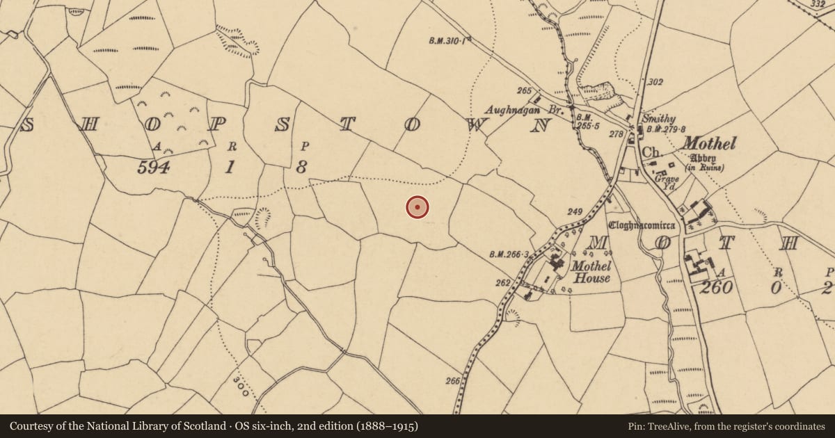 Ordnance Survey six-inch map, 2nd edition (1888–1915) covering the location of Cist, Bishopstown, County Waterford, with a pin at the register's coordinates