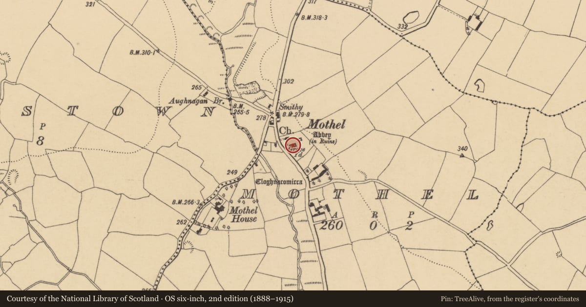 Ordnance Survey six-inch map, 2nd edition (1888–1915) covering the location of Graveslab, Mothel, County Waterford, with a pin at the register's coordinates