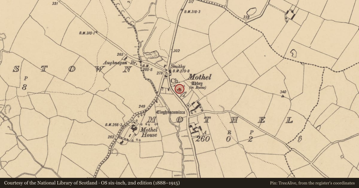 Ordnance Survey six-inch map, 2nd edition (1888–1915) covering the location of Cross, Mothel, County Waterford, with a pin at the register's coordinates
