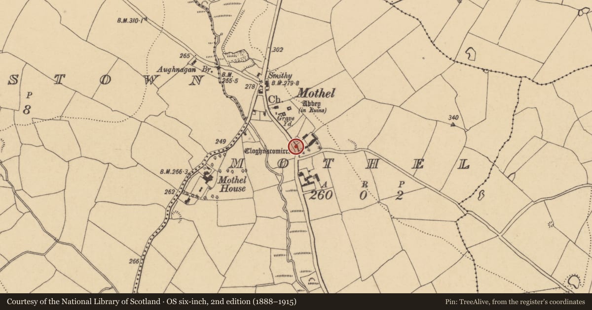 Ordnance Survey six-inch map, 2nd edition (1888–1915) covering the location of Cross-inscribed pillar, Mothel, County Waterford, with a pin at the register's coordinates