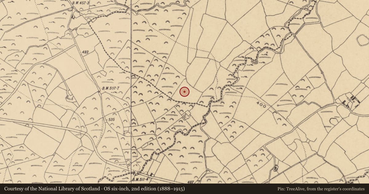Ordnance Survey six-inch map, 2nd edition (1888–1915) covering the location of Enclosure, Boolabeg, County Waterford, with a pin at the register's coordinates