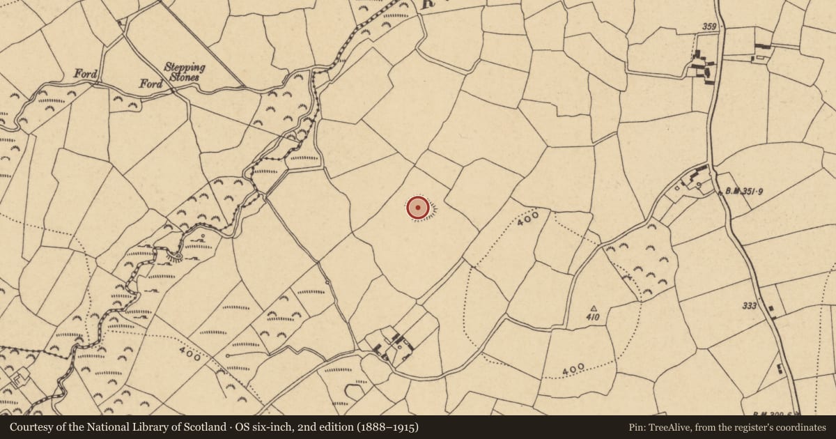 Ordnance Survey six-inch map, 2nd edition (1888–1915) covering the location of Enclosure, Ross, County Waterford, with a pin at the register's coordinates