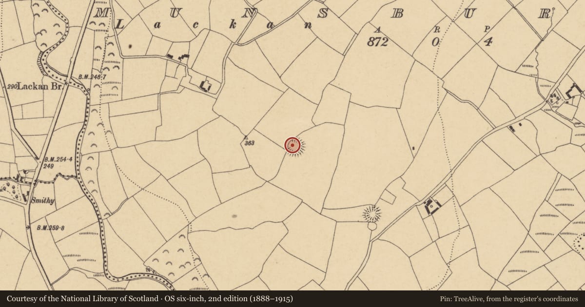 Ordnance Survey six-inch map, 2nd edition (1888–1915) covering the location of Enclosure, Munsburrow, County Waterford, with a pin at the register's coordinates