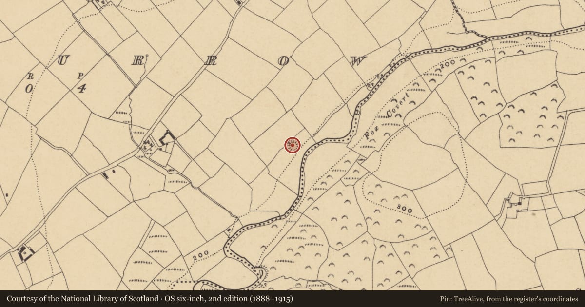 Ordnance Survey six-inch map, 2nd edition (1888–1915) covering the location of Earthwork, Munsburrow, County Waterford, with a pin at the register's coordinates