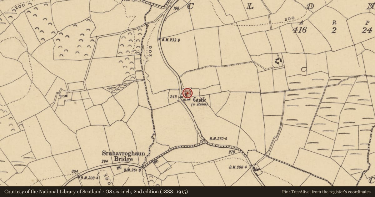 Ordnance Survey six-inch map, 2nd edition (1888–1915) covering the location of Bawn, Clonea, County Waterford, with a pin at the register's coordinates