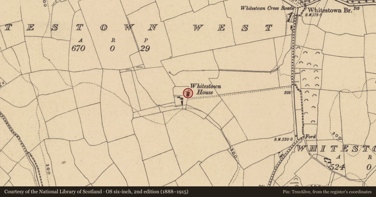 Ordnance Survey six-inch map, 2nd edition (1888–1915) covering the location of Architectural fragment, Whitestown West, County Waterford, with a pin at the register's coordinates