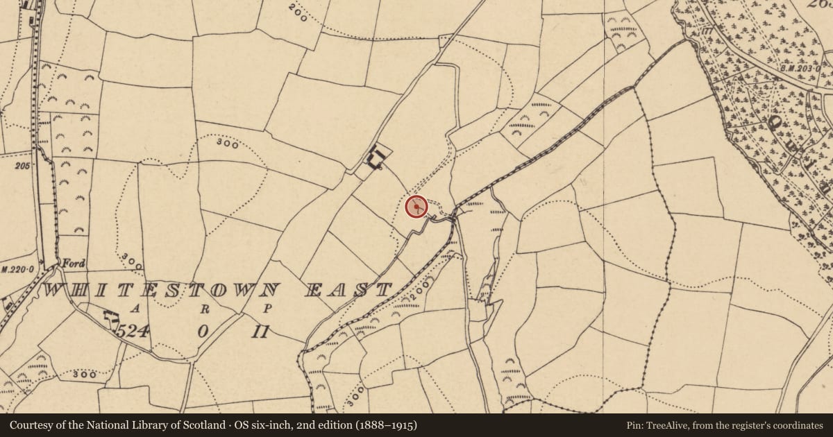 Ordnance Survey six-inch map, 2nd edition (1888–1915) covering the location of Megalithic tomb - portal tomb, Whitestown East, County Waterford, with a pin at the register's coordinates