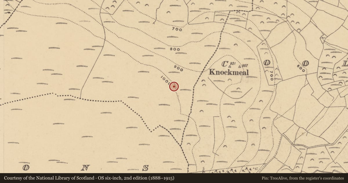 Ordnance Survey six-inch map, 2nd edition (1888–1915) covering the location of Ringfort - rath, Coolnalingady, County Waterford, with a pin at the register's coordinates