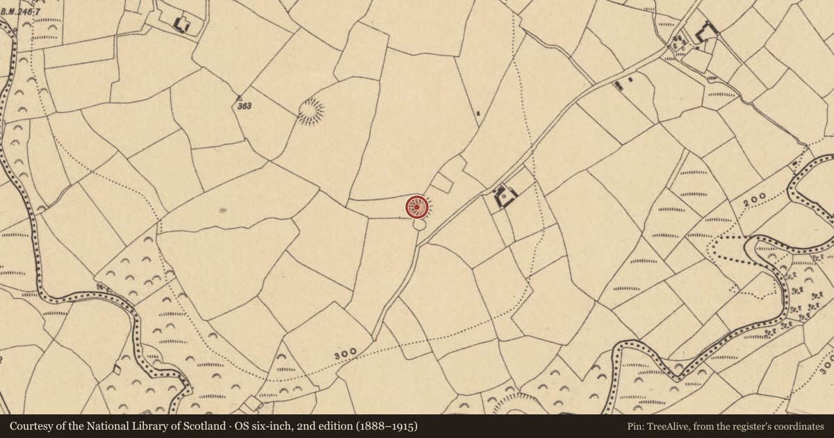 Ordnance Survey six-inch map, 2nd edition (1888–1915) covering the location of Enclosure, Munsburrow, County Waterford, with a pin at the register's coordinates