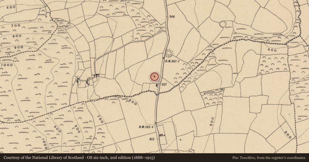 Ordnance Survey six-inch map, 2nd edition (1888–1915) covering the location of Ringfort - rath, Killerguile, County Waterford, with a pin at the register's coordinates