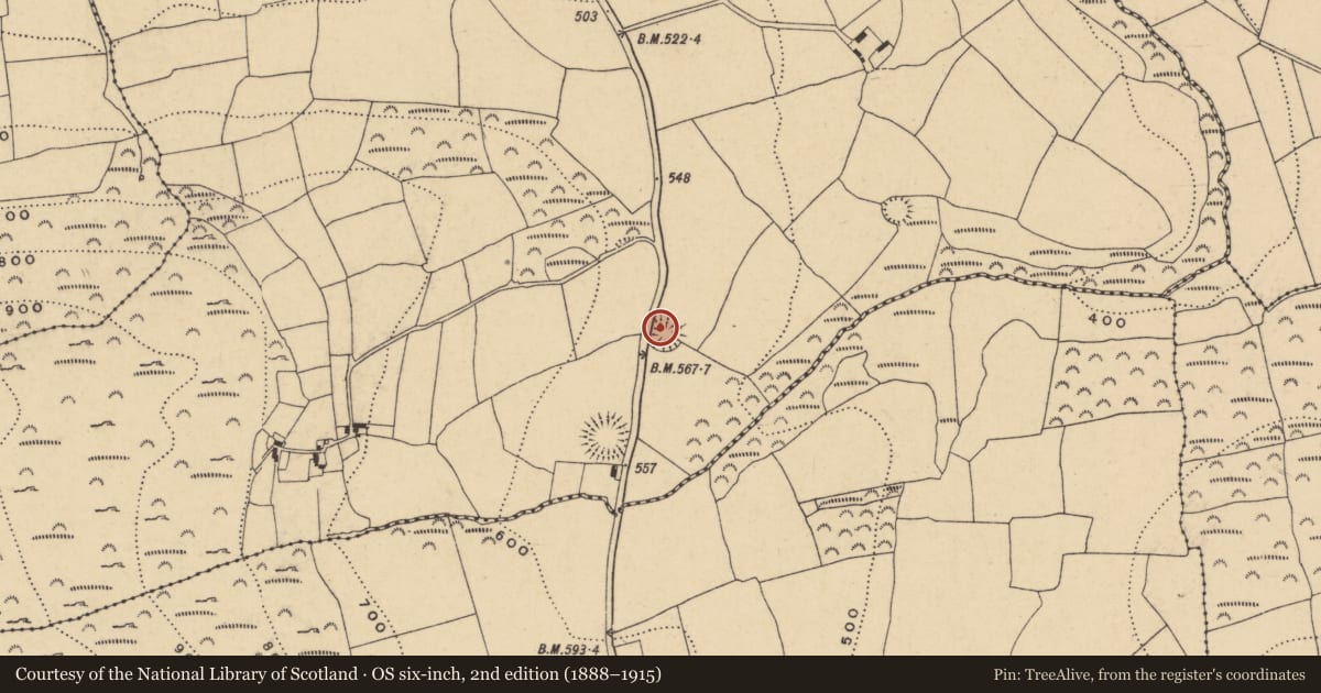 Ordnance Survey six-inch map, 2nd edition (1888–1915) covering the location of Ringfort - rath, Killerguile, County Waterford, with a pin at the register's coordinates