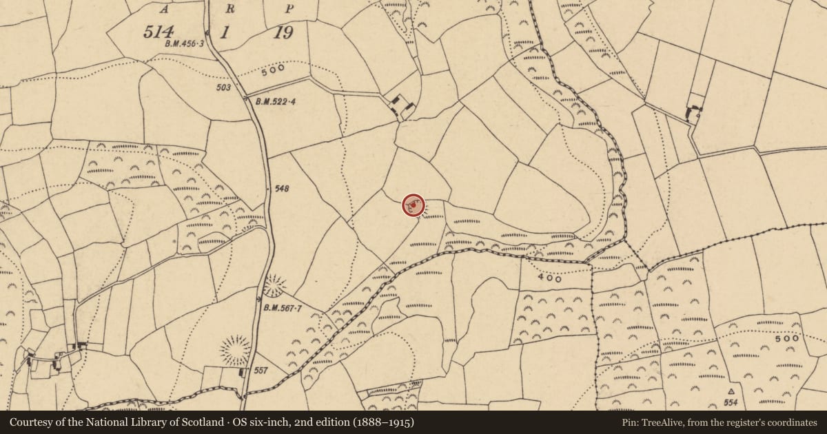 Ordnance Survey six-inch map, 2nd edition (1888–1915) covering the location of Enclosure, Killerguile, County Waterford, with a pin at the register's coordinates