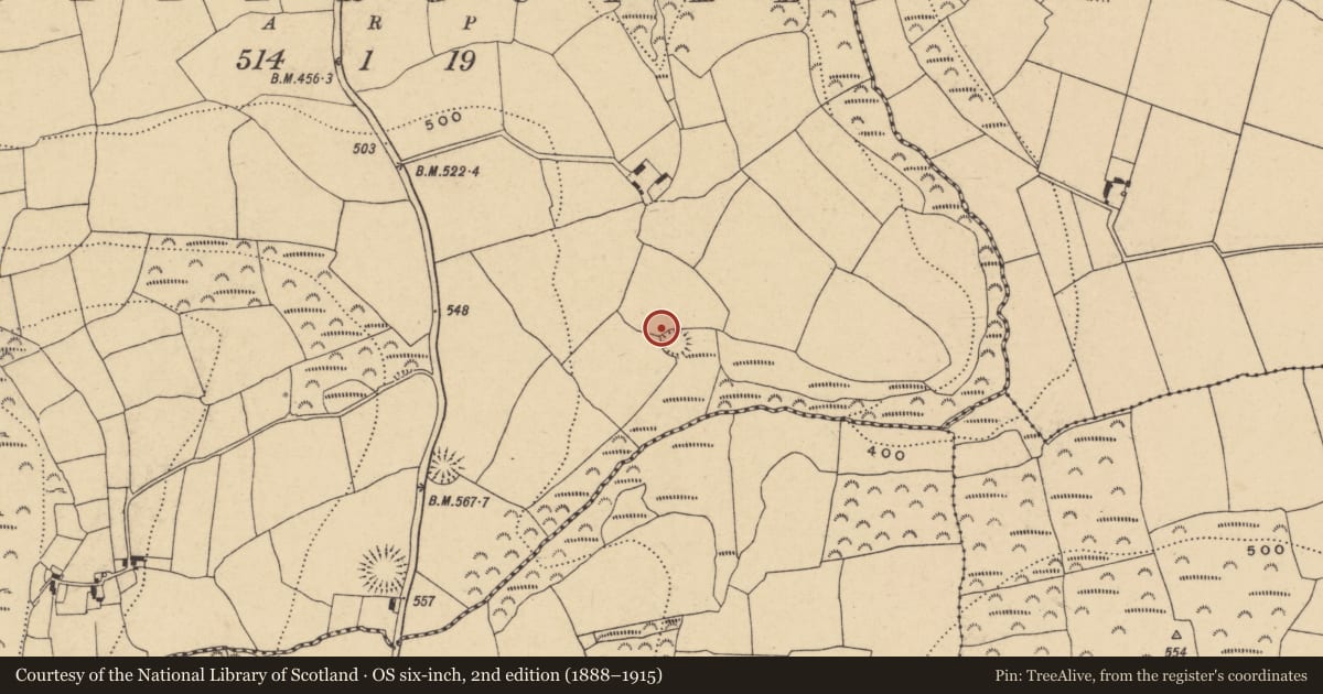 Ordnance Survey six-inch map, 2nd edition (1888–1915) covering the location of Bullaun stone, Killerguile, County Waterford, with a pin at the register's coordinates