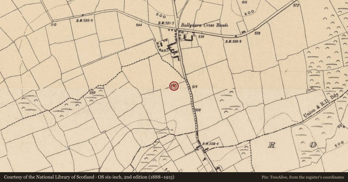 Ordnance Survey six-inch map, 2nd edition (1888–1915) covering the location of Ringfort - rath, Fallagh, County Waterford, with a pin at the register's coordinates