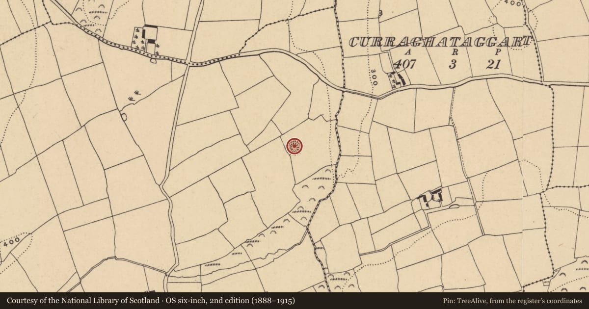 Ordnance Survey six-inch map, 2nd edition (1888–1915) covering the location of Ringfort - rath, Ballydurn, County Waterford, with a pin at the register's coordinates