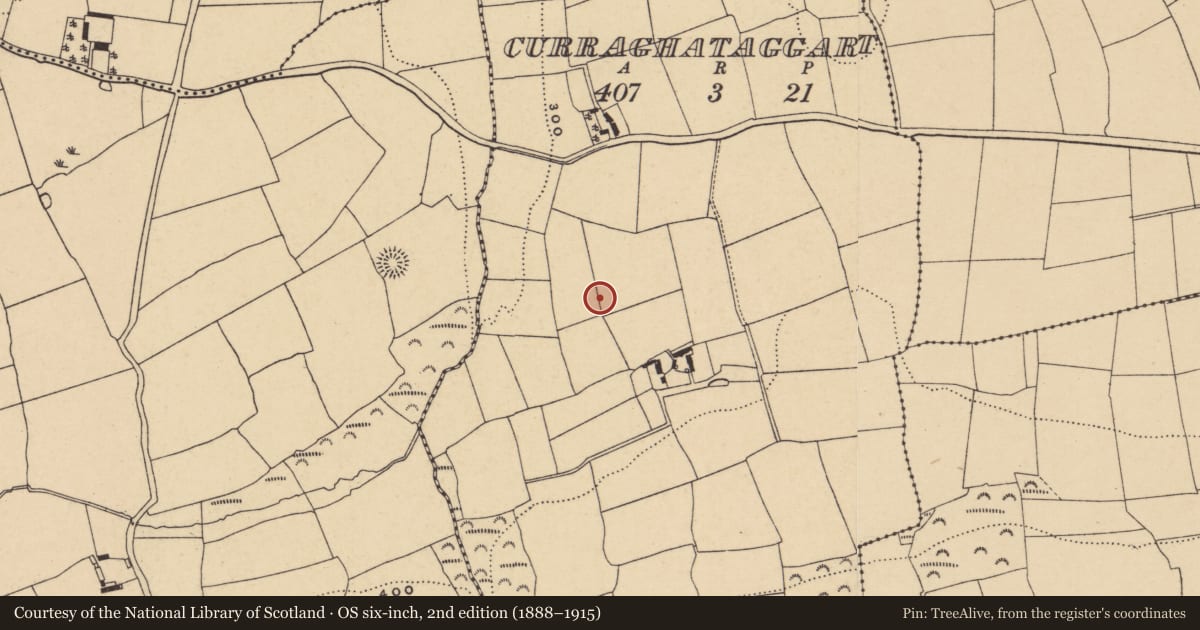 Ordnance Survey six-inch map, 2nd edition (1888–1915) covering the location of Ringfort - unclassified, Curraghataggart, County Waterford, with a pin at the register's coordinates