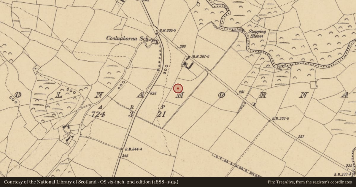 Ordnance Survey six-inch map, 2nd edition (1888–1915) covering the location of Graveyard, Coolnahorna, County Waterford, with a pin at the register's coordinates