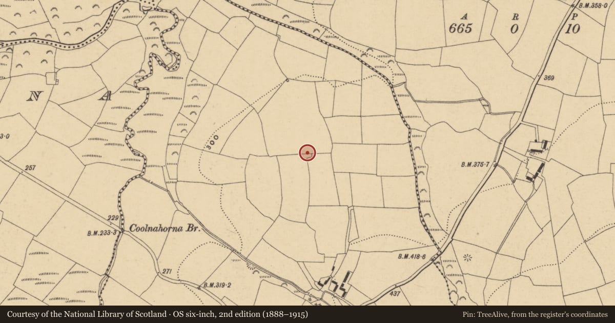 Ordnance Survey six-inch map, 2nd edition (1888–1915) covering the location of Church, Knockaturnory, County Waterford, with a pin at the register's coordinates
