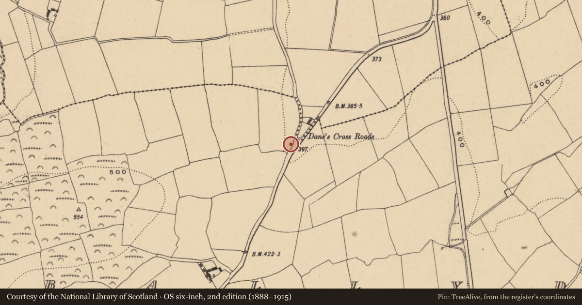 Ordnance Survey six-inch map, 2nd edition (1888–1915) covering the location of Bullaun stone, Ballydurn, County Waterford, with a pin at the register's coordinates