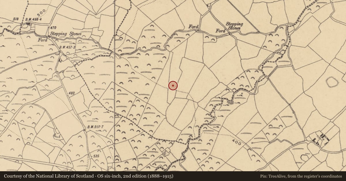 Ordnance Survey six-inch map, 2nd edition (1888–1915) covering the location of Fulacht fia, Boolabeg, County Waterford, with a pin at the register's coordinates