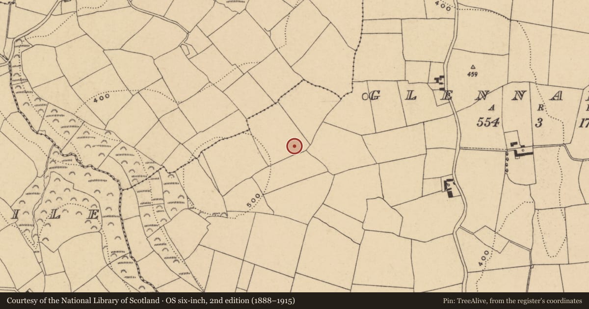 Ordnance Survey six-inch map, 2nd edition (1888–1915) covering the location of Standing stone, Glennaphuca, County Waterford, with a pin at the register's coordinates