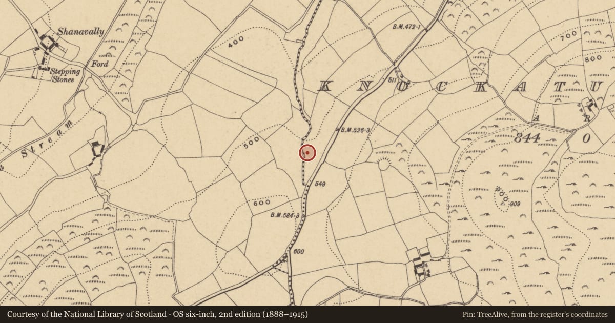 Ordnance Survey six-inch map, 2nd edition (1888–1915) covering the location of Fulacht fia, Knockaturnory, County Waterford, with a pin at the register's coordinates