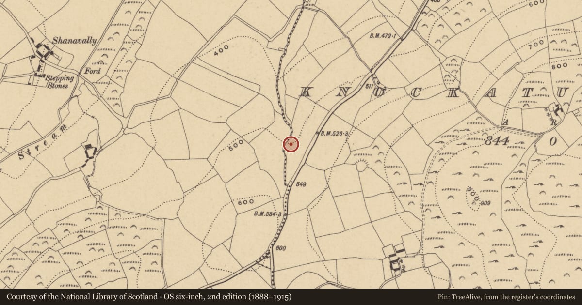Ordnance Survey six-inch map, 2nd edition (1888–1915) covering the location of Fulacht fia, Knockaturnory, County Waterford, with a pin at the register's coordinates